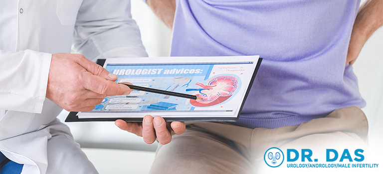 urologist showing anatomy of urology